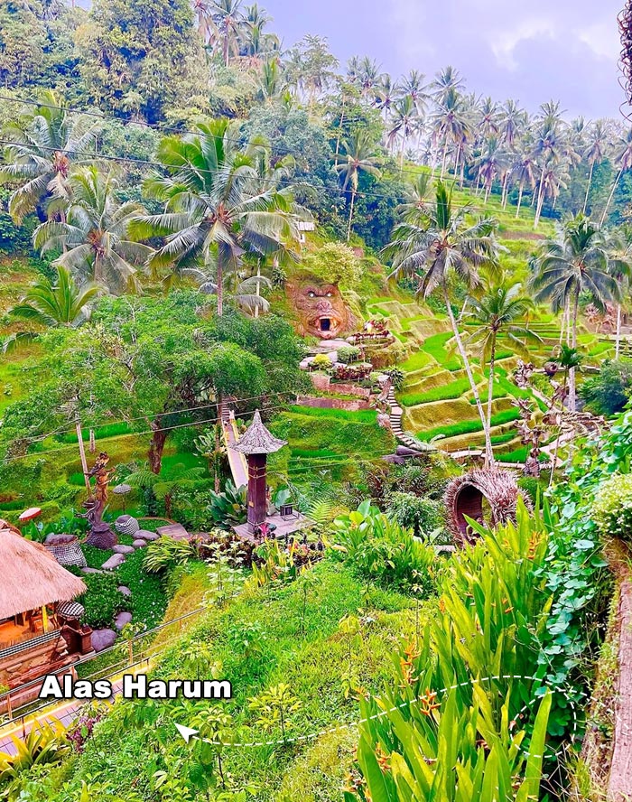 Alas Harum - Tour Trunyan