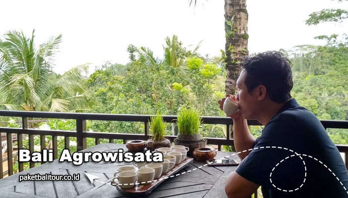Bali Agrowisata